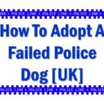 How To Adopt A Failed Police Dog [UK]